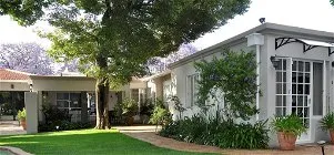 Modern house with garden trees and potted plants in a suburban setting