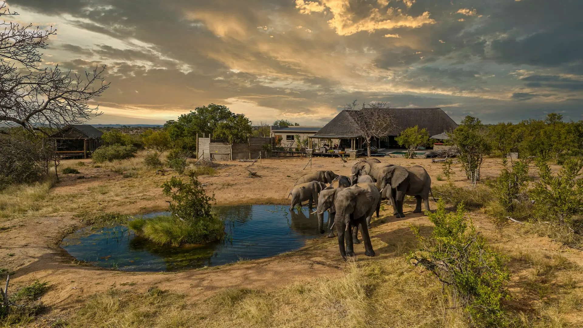 Imagine Africa Safaris & Luxury Tented Camp