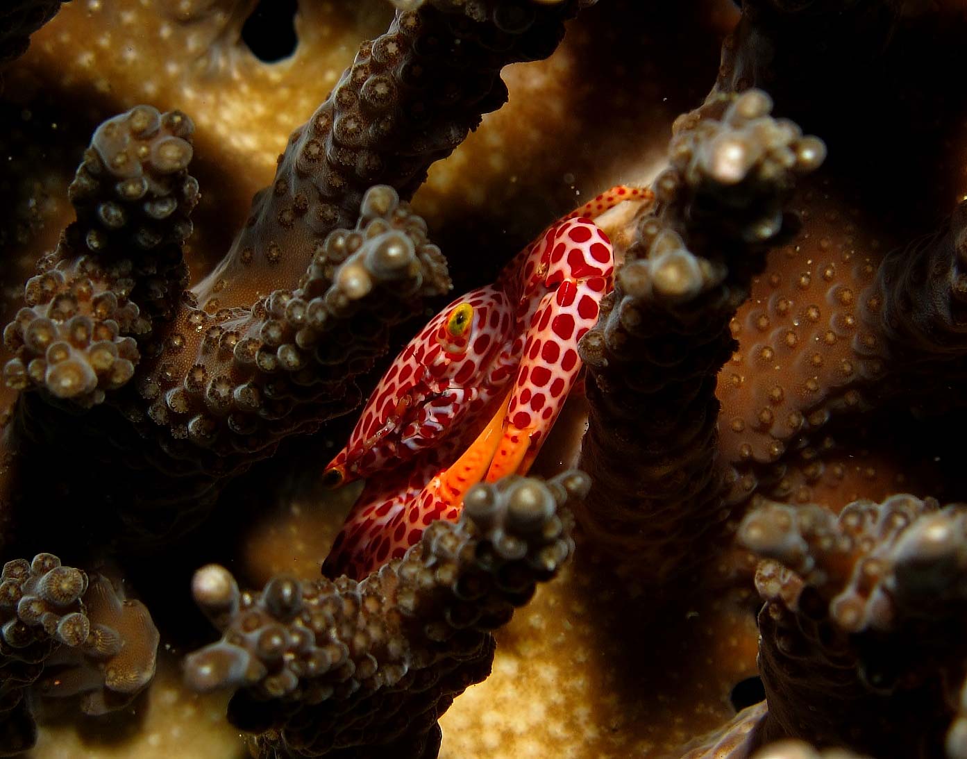 Malongane Beach Resort and Dive Centre in Ponta Do Ouro