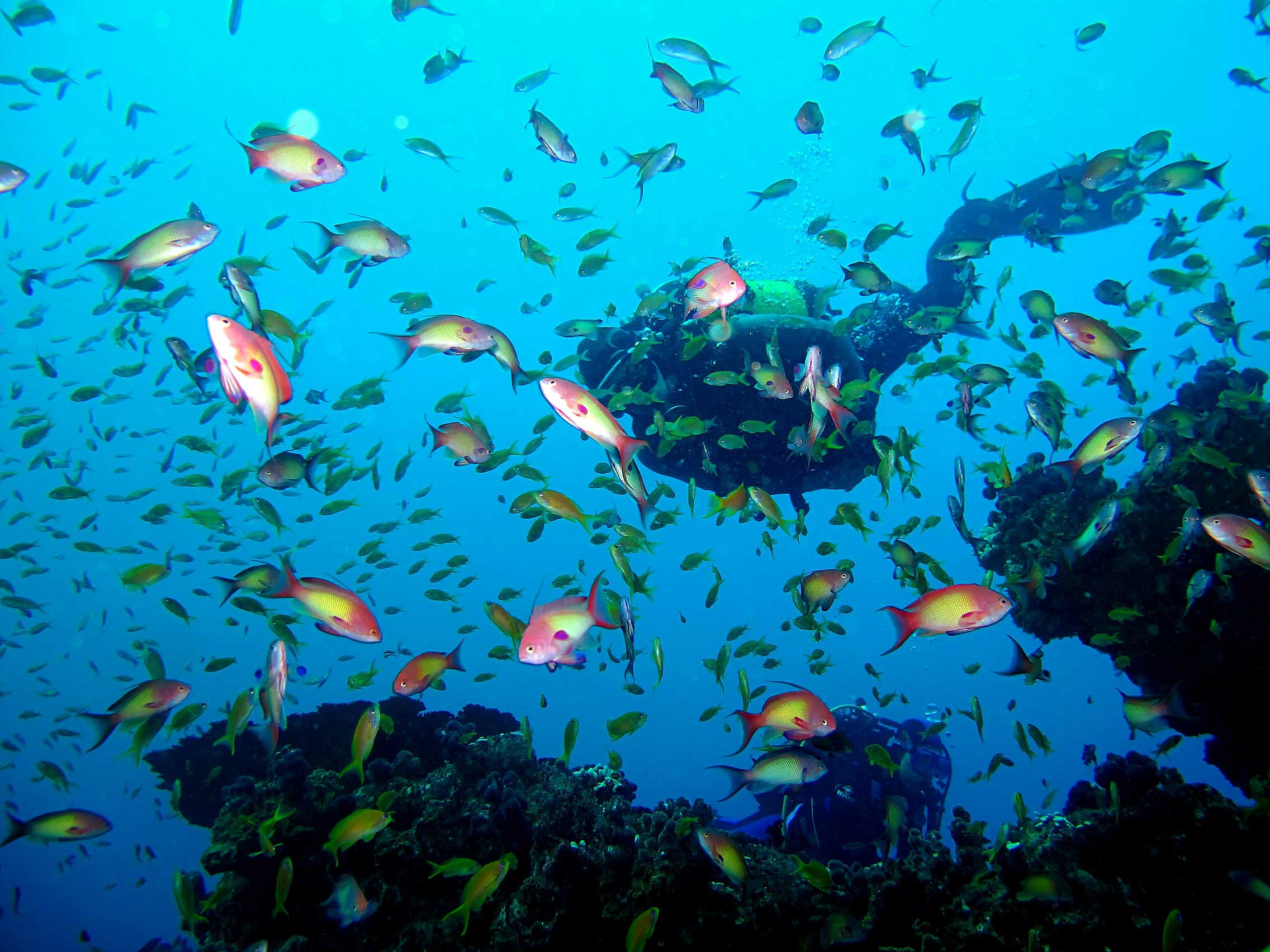 Malongane Beach Resort and Dive Centre in Ponta Do Ouro 3