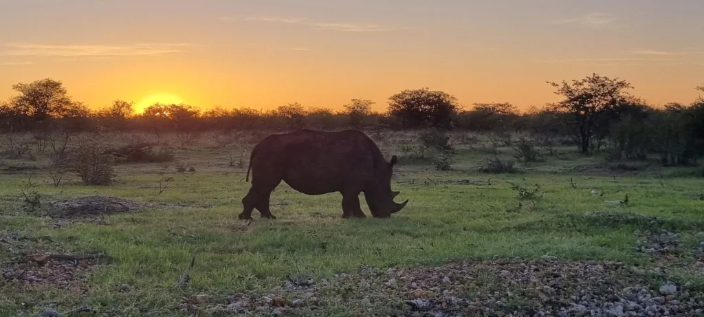 Okutala Etosha Lodge