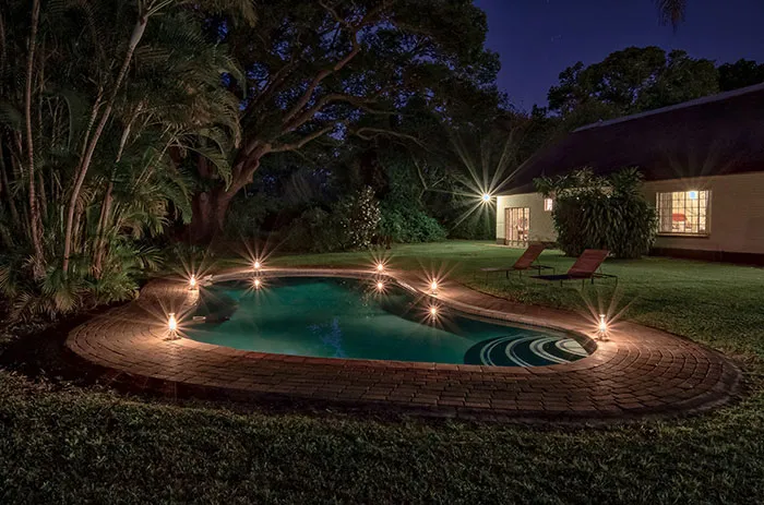Night view of a pool with lights surrounded by plants and a house