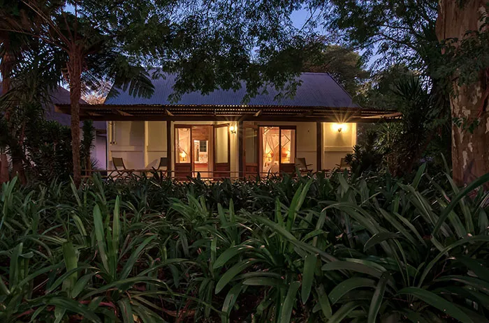 House with lit windows surrounded by lush greenery at dusk