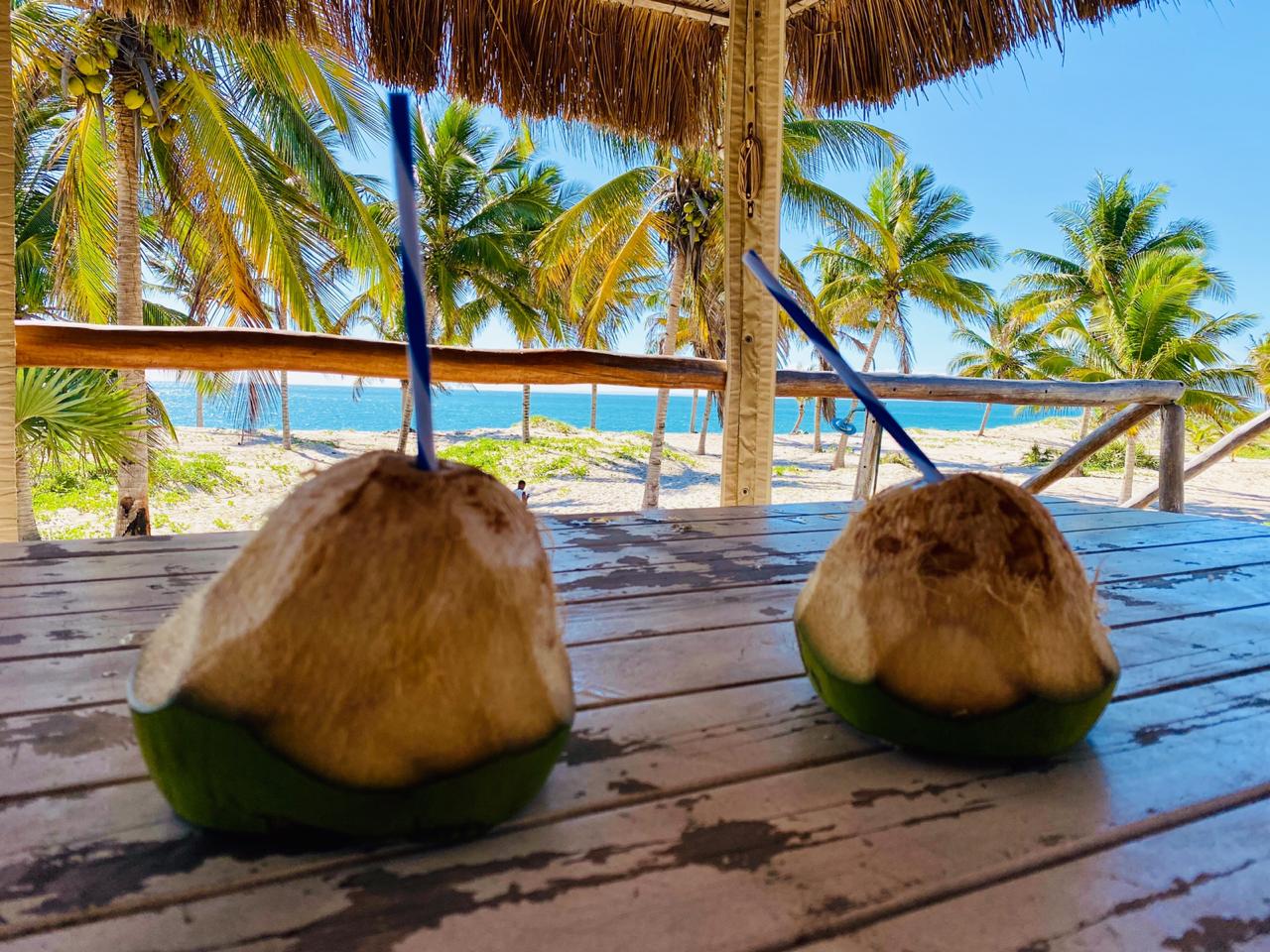 Pura Vida Lodge