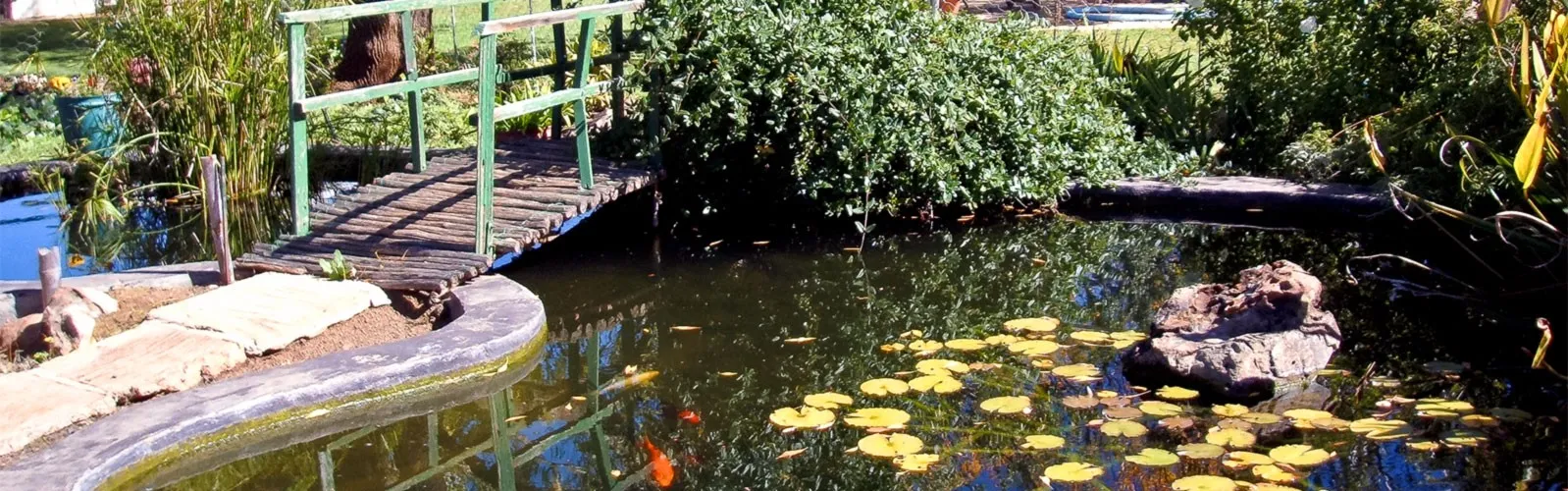 Small bridge over a pond with lily pads and fish in a garden