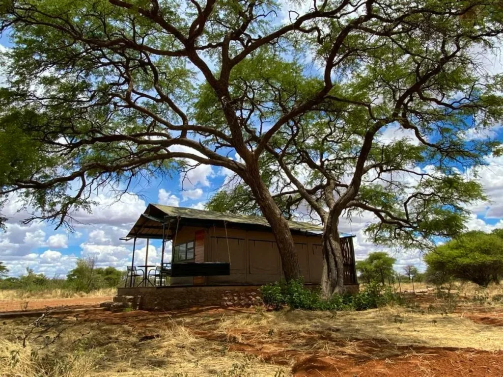 Kameeldoring Glamping