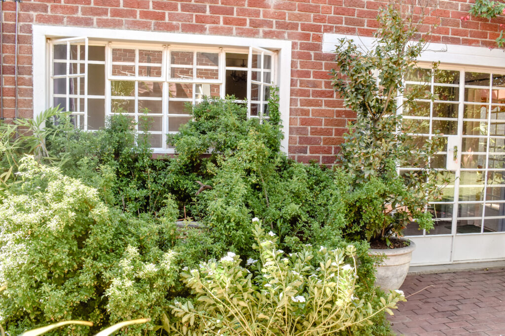 Sunbird Guest House