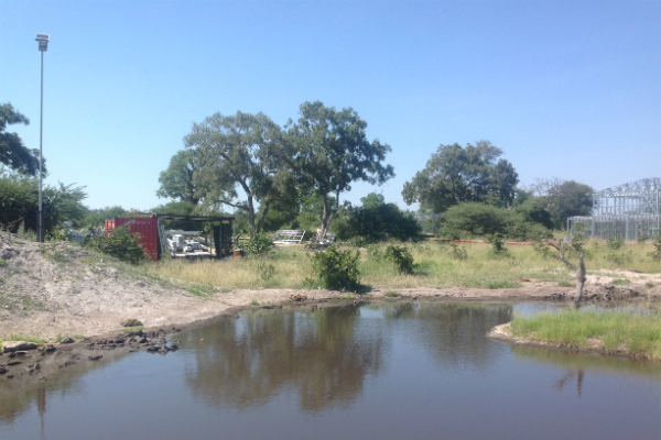 Thobolo's Bush Lodge