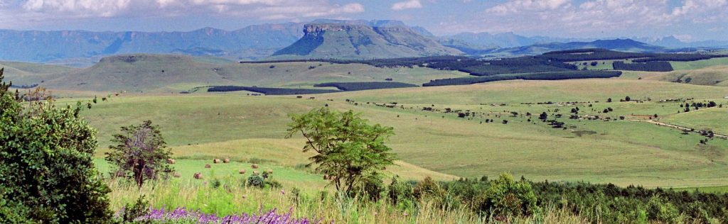 Antbear Eco Lodge