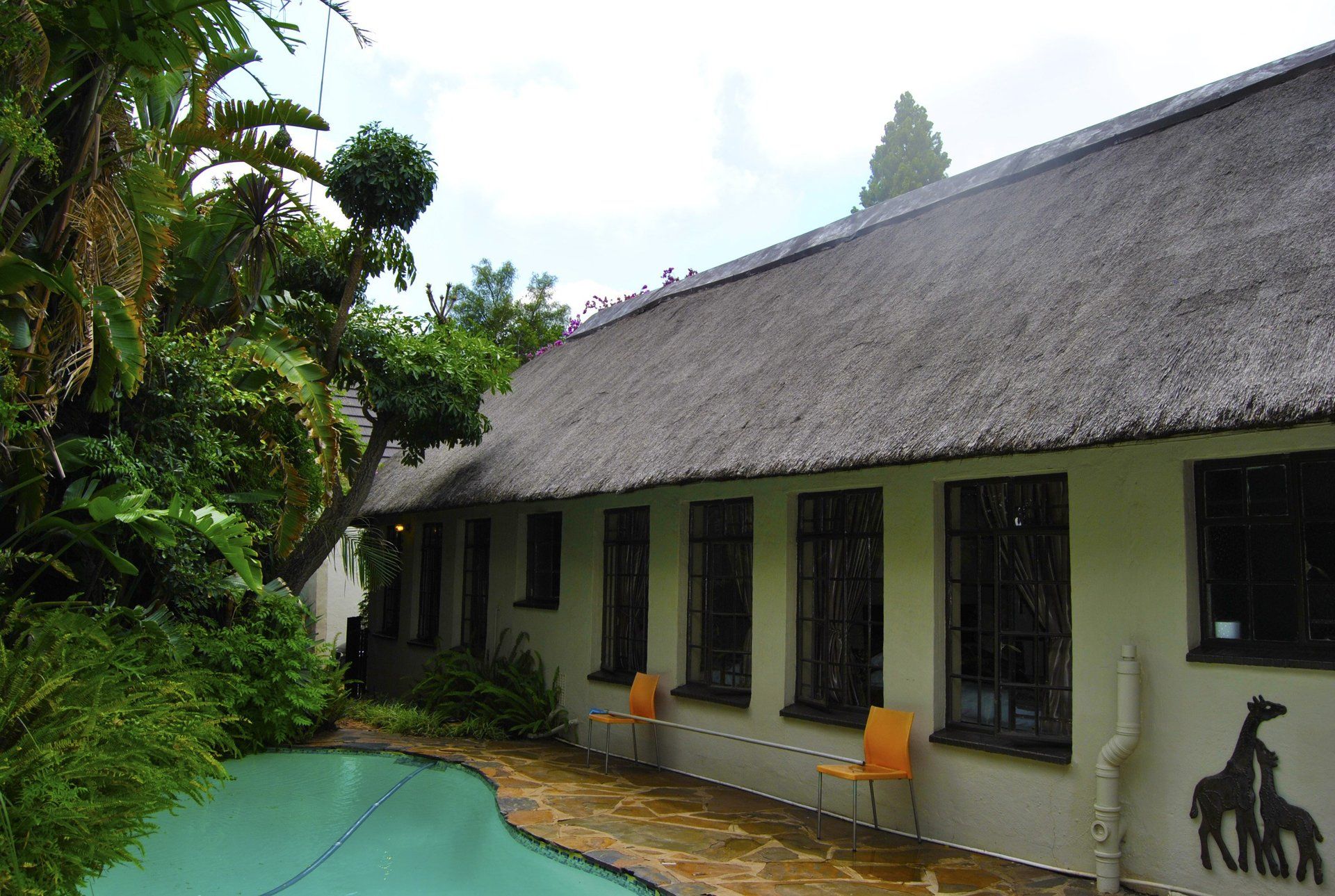 Birch Tree Cottage B&B