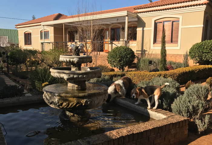 Clarens Butterfly Beds