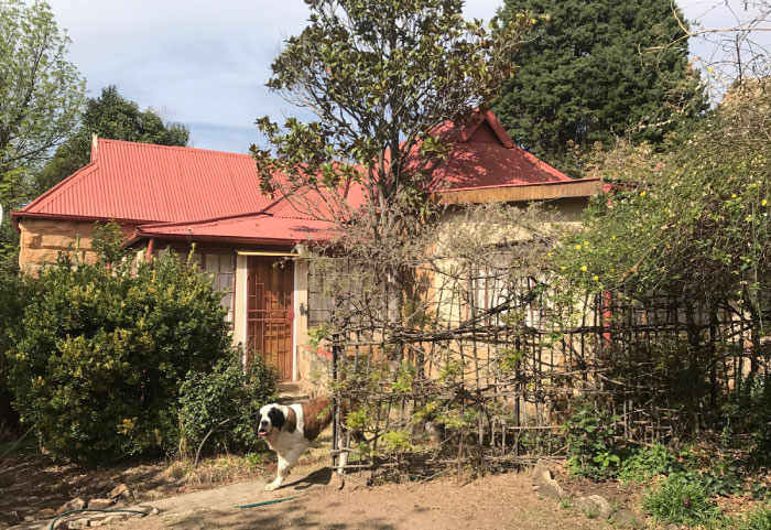 Clarens Butterfly Beds