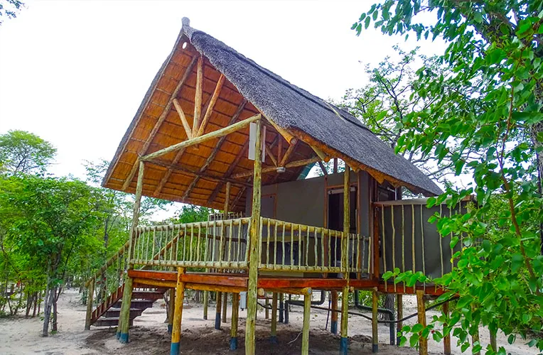 Chobe Mopani Forest Lodge