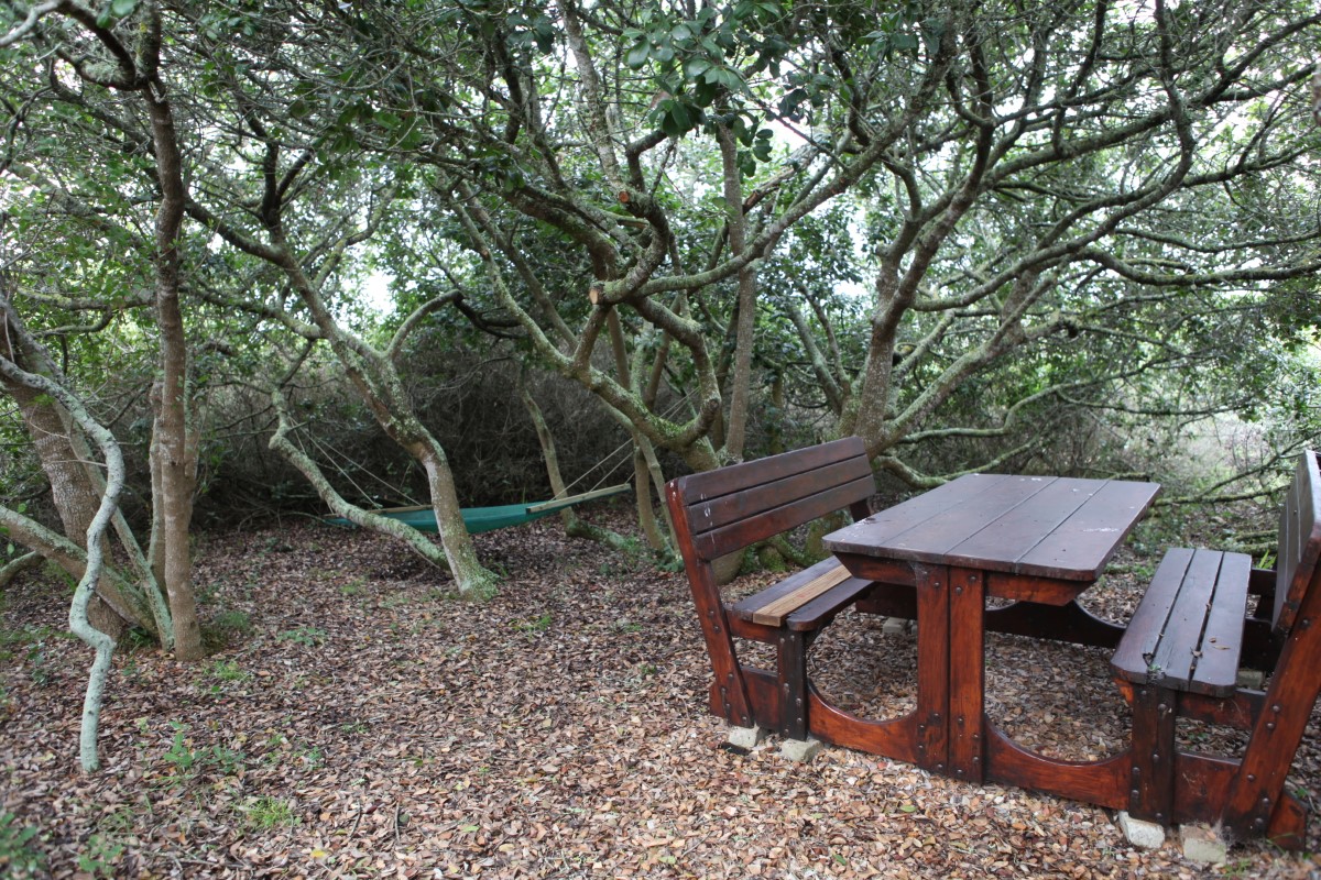 The De Mond Veld Cottage