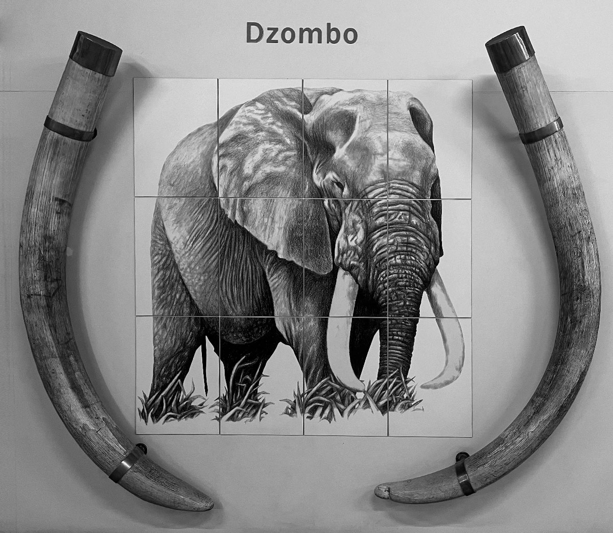 Dzombo Lodge