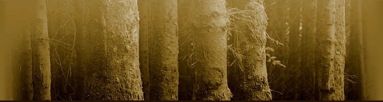 Elephants' Rest image 3