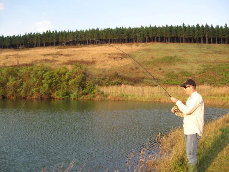 Gunyatoo Guest Lodge & Self-Catering Chalets