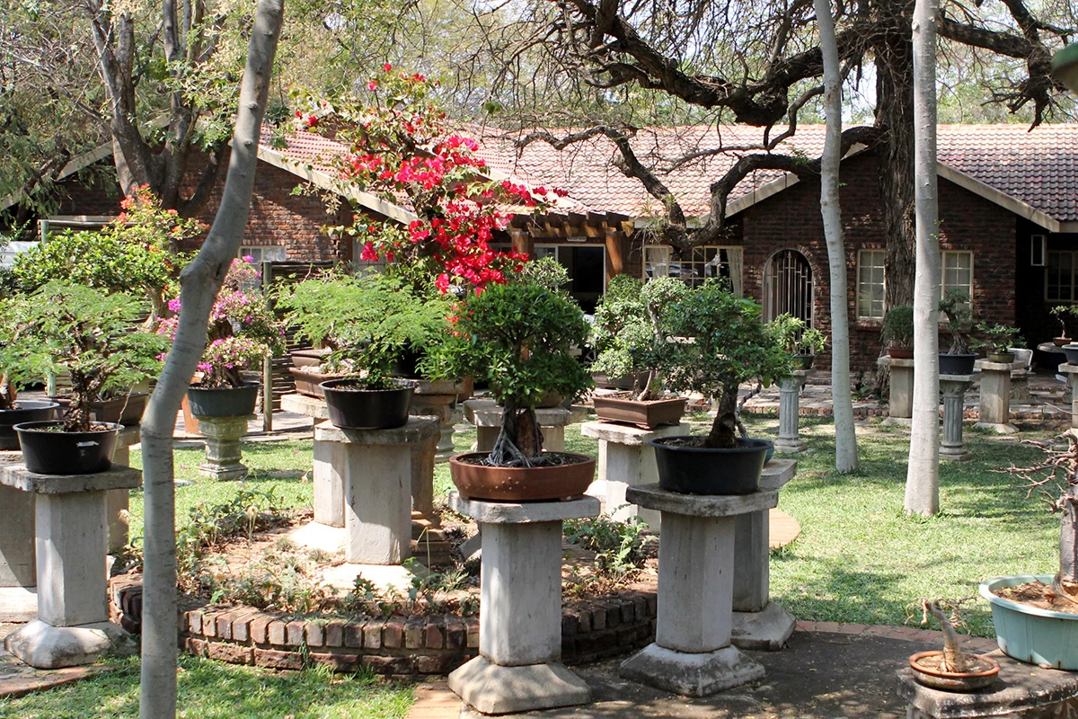 Hoed & Berg Guest House