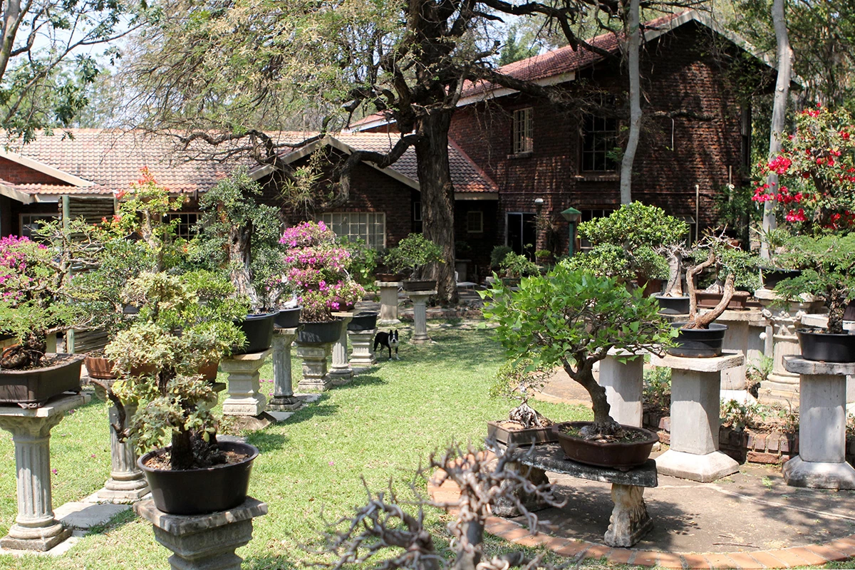 Hoed & Berg Guest House
