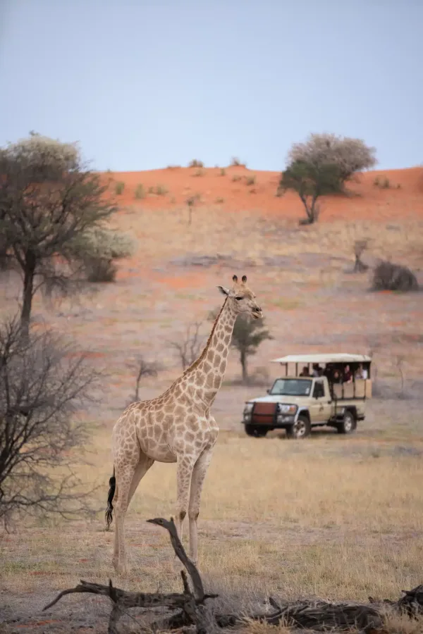 Intu Afrika Kalahari Game Reserve