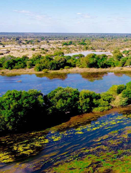 Kashete Plains Expedition & Campsite (KPE)