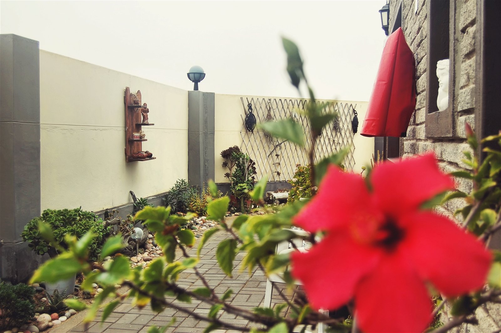 La Casetta Guesthouse in Swakopmund 4