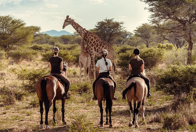 Lazy Leopard Lodge