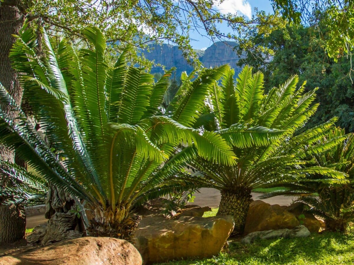LittleBush Private Lodge