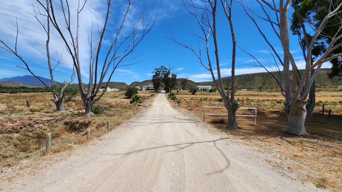 Magoos Guest Farm (Magoos on 62)