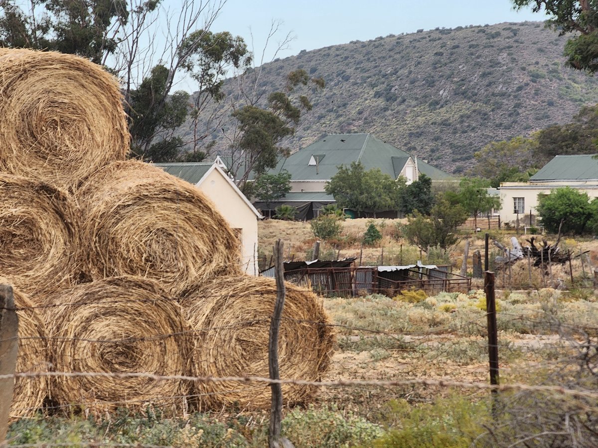 Magoos Guest Farm (Magoos on 62)