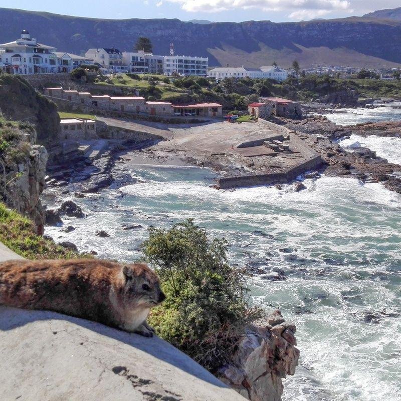Marine Square Hermanus