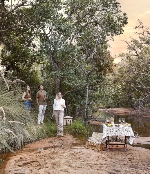 Moyela Safari Lodge in Waterberg 2