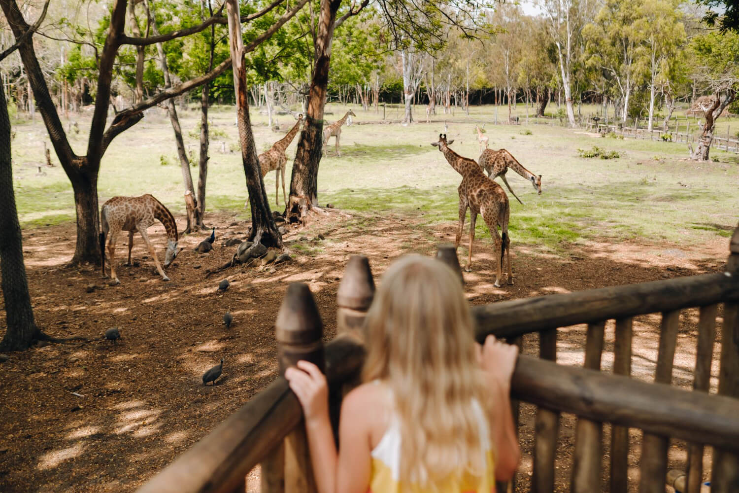 Miombo Mews Holiday Villas in Victoria Falls 3
