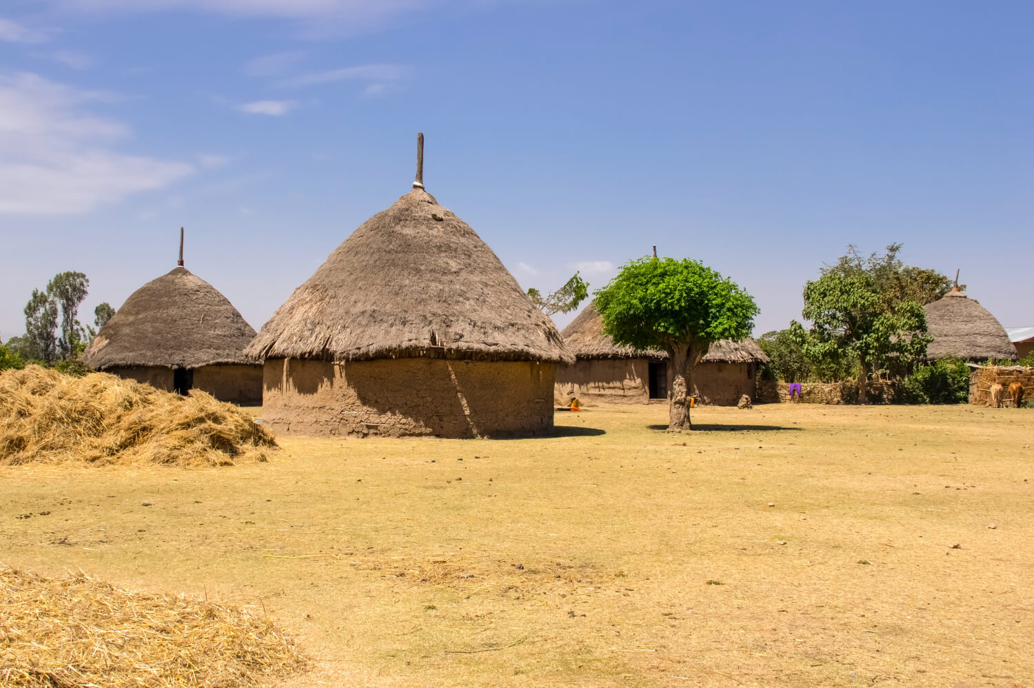 Miombo Mews Holiday Villas in Victoria Falls 4