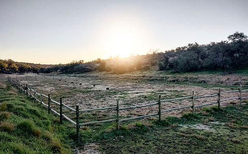Moonraker Farm