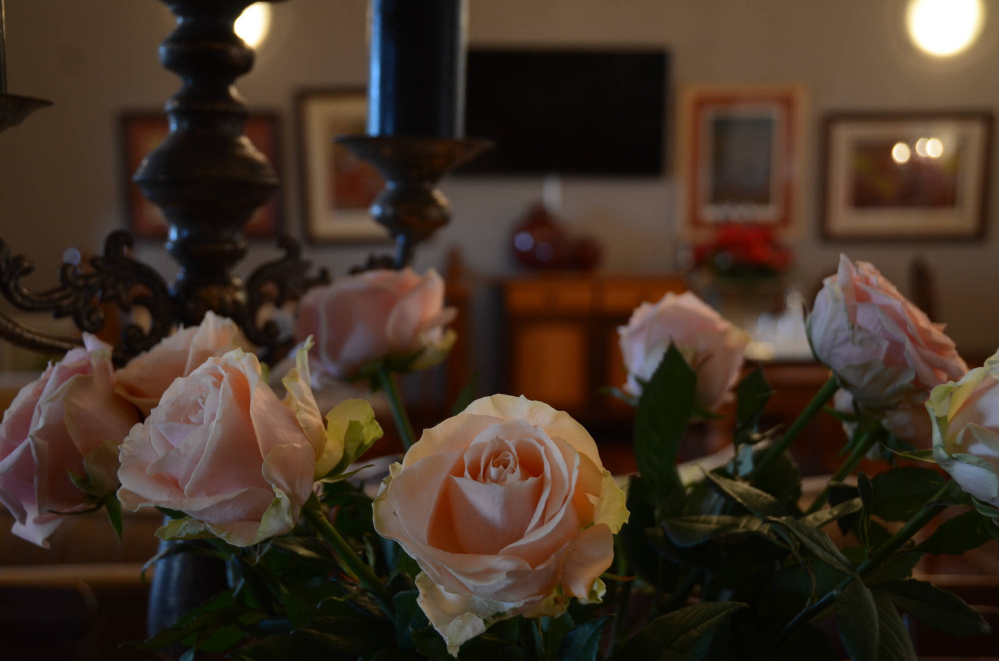 New Stone Manor Guesthouse