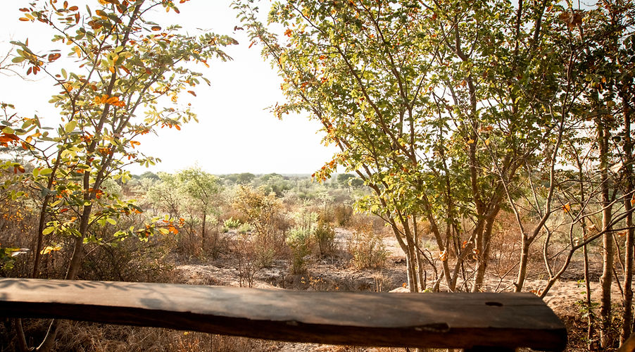 Nhoma Safari Camp