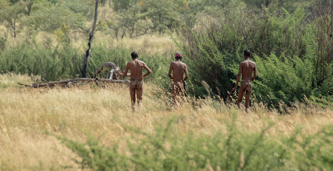Nhoma Safari Camp