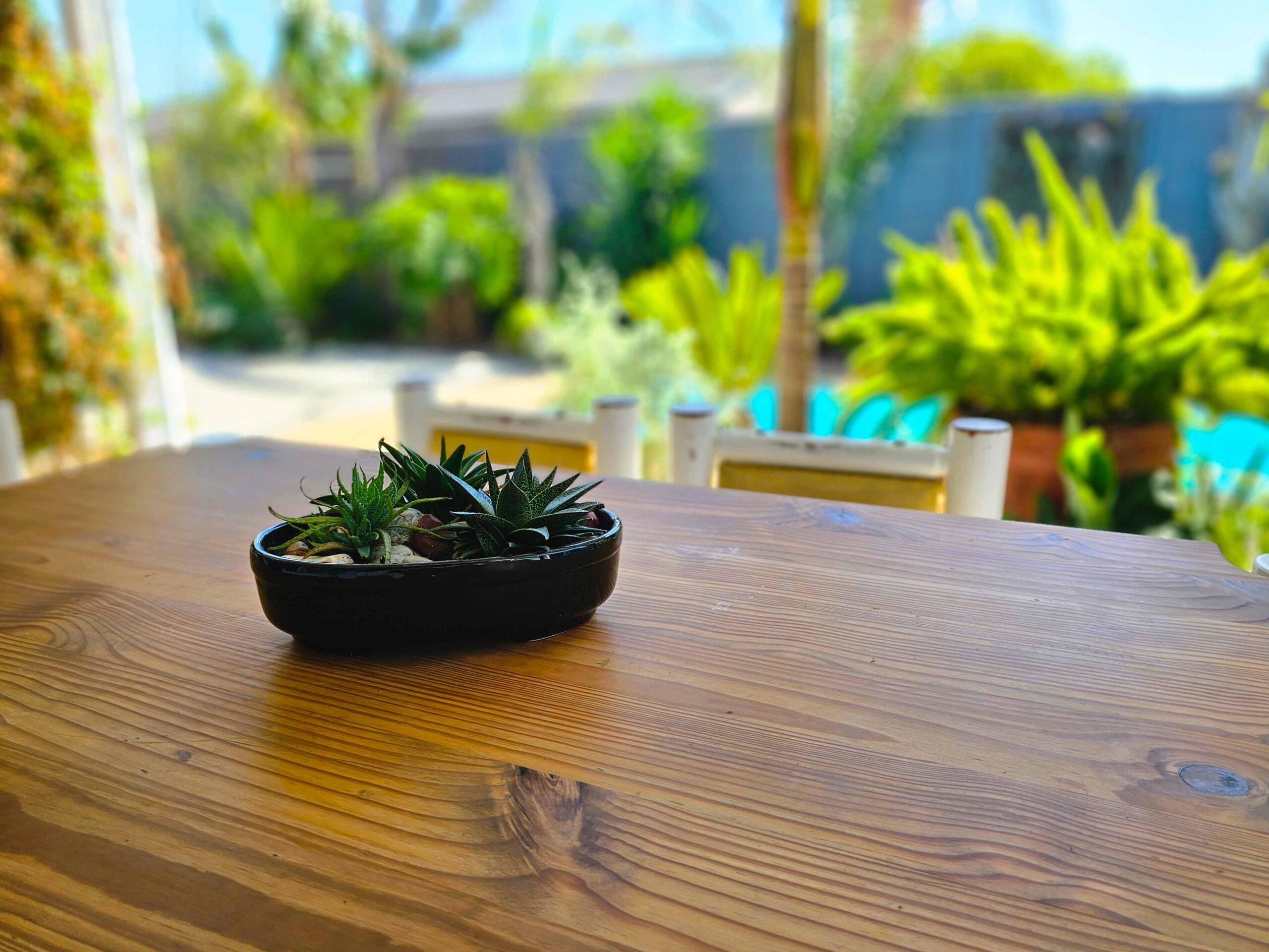 Northern Vine B&B Guesthouse