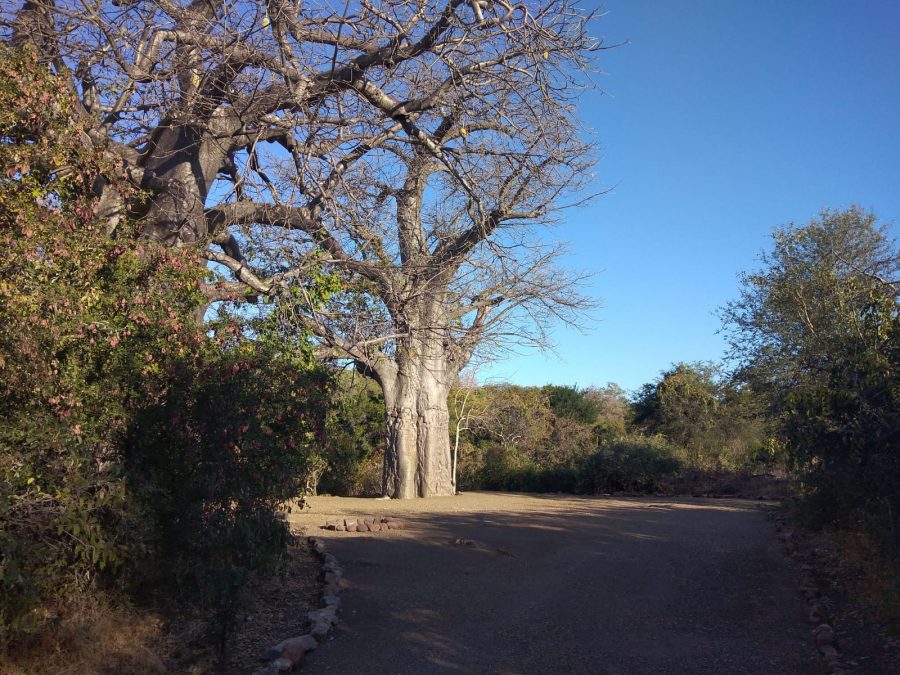 Nthakeni Bush & River Camp