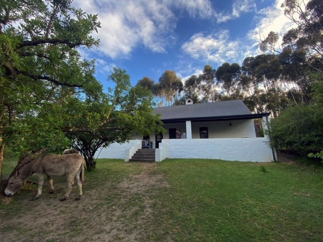 Overberg Gems