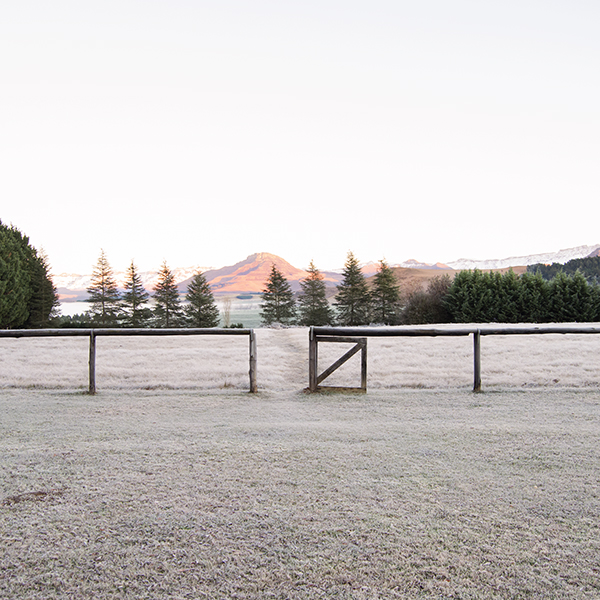 Pennygum Country Cottages