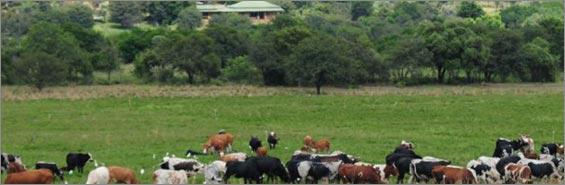 Puschka Organic Farm
