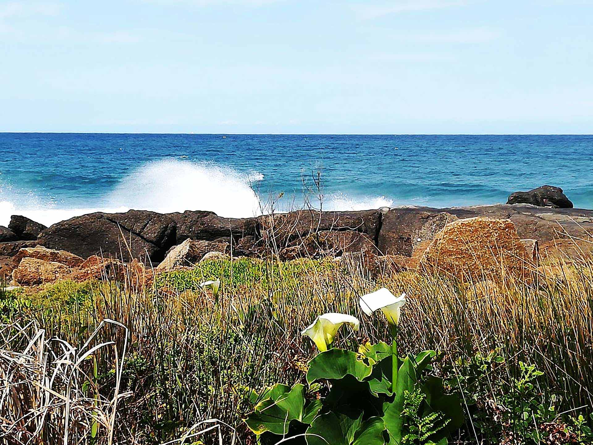 Rockview Guest House