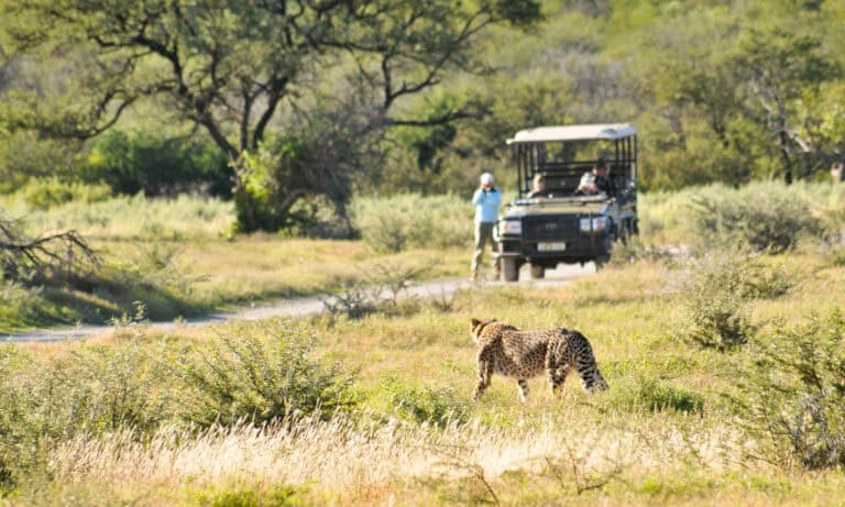 Samara Karoo Reserve