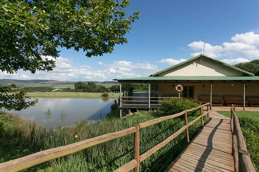 Wooden bridge leading to a house by a pond with green surroundings