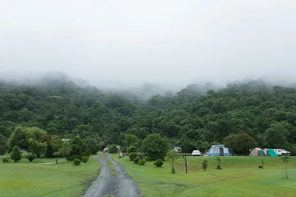 Campsite in a foggy forest with tents and a dirt road
