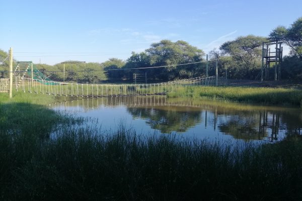 Thabaledi Game Lodge