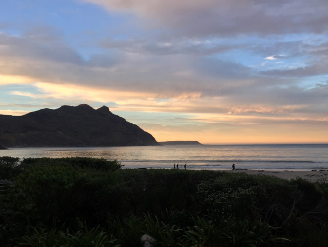 Hout Bay Village Agency