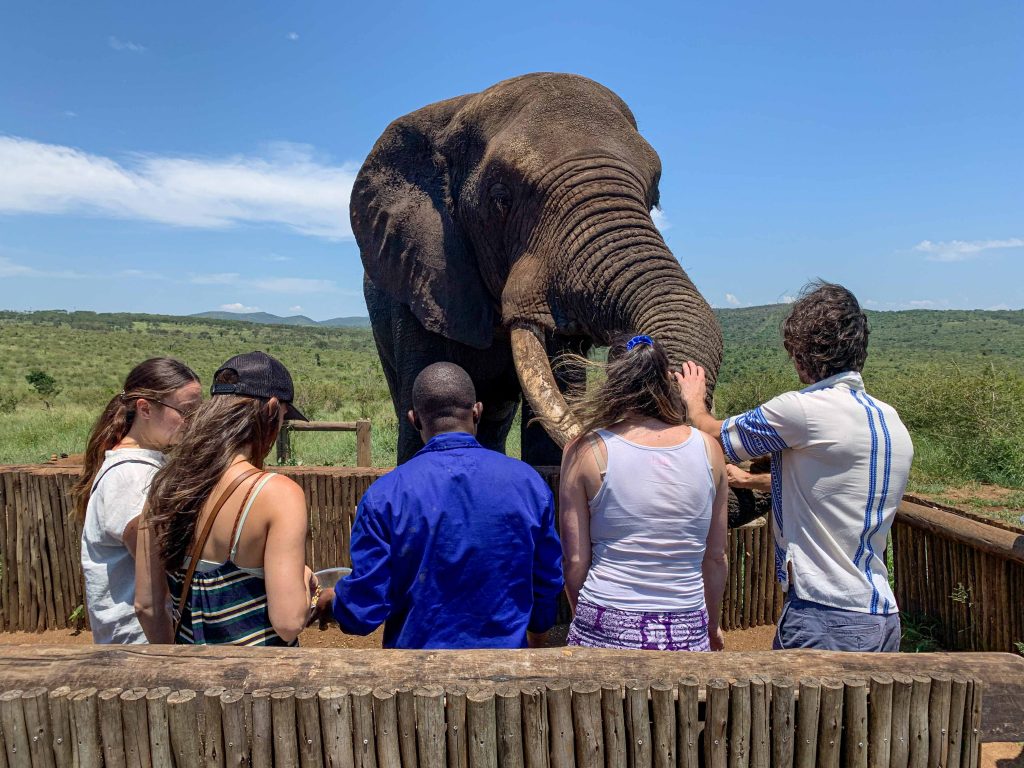 Thornwood Luxury Bush Lodge